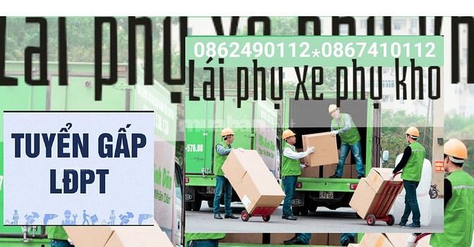 Tim nhan vien lao dong pho thong lam viec