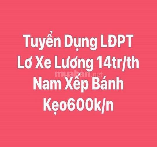 BINH PHUOC gt Tuyen Lai Xe 15 Lo Xe